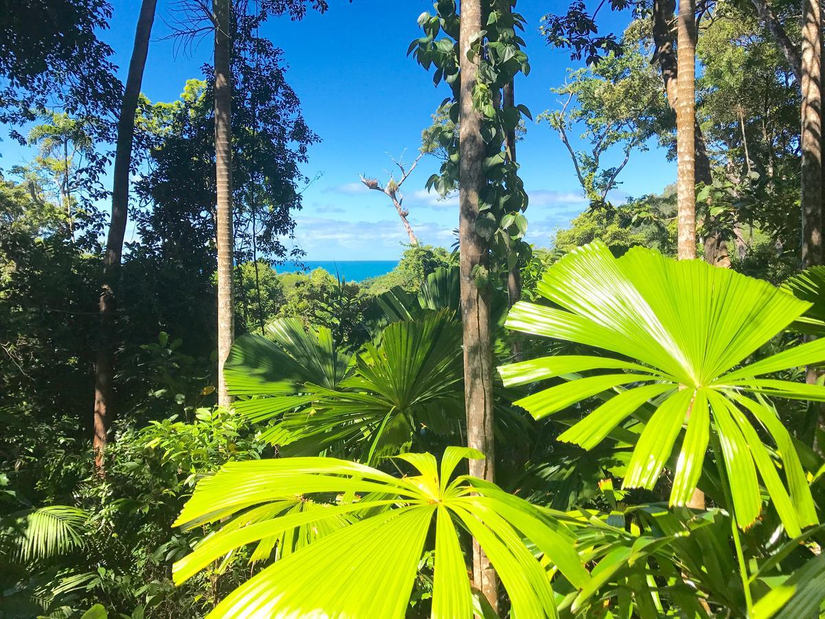Daintree Magic Holiday House Cow Bay Exterior foto