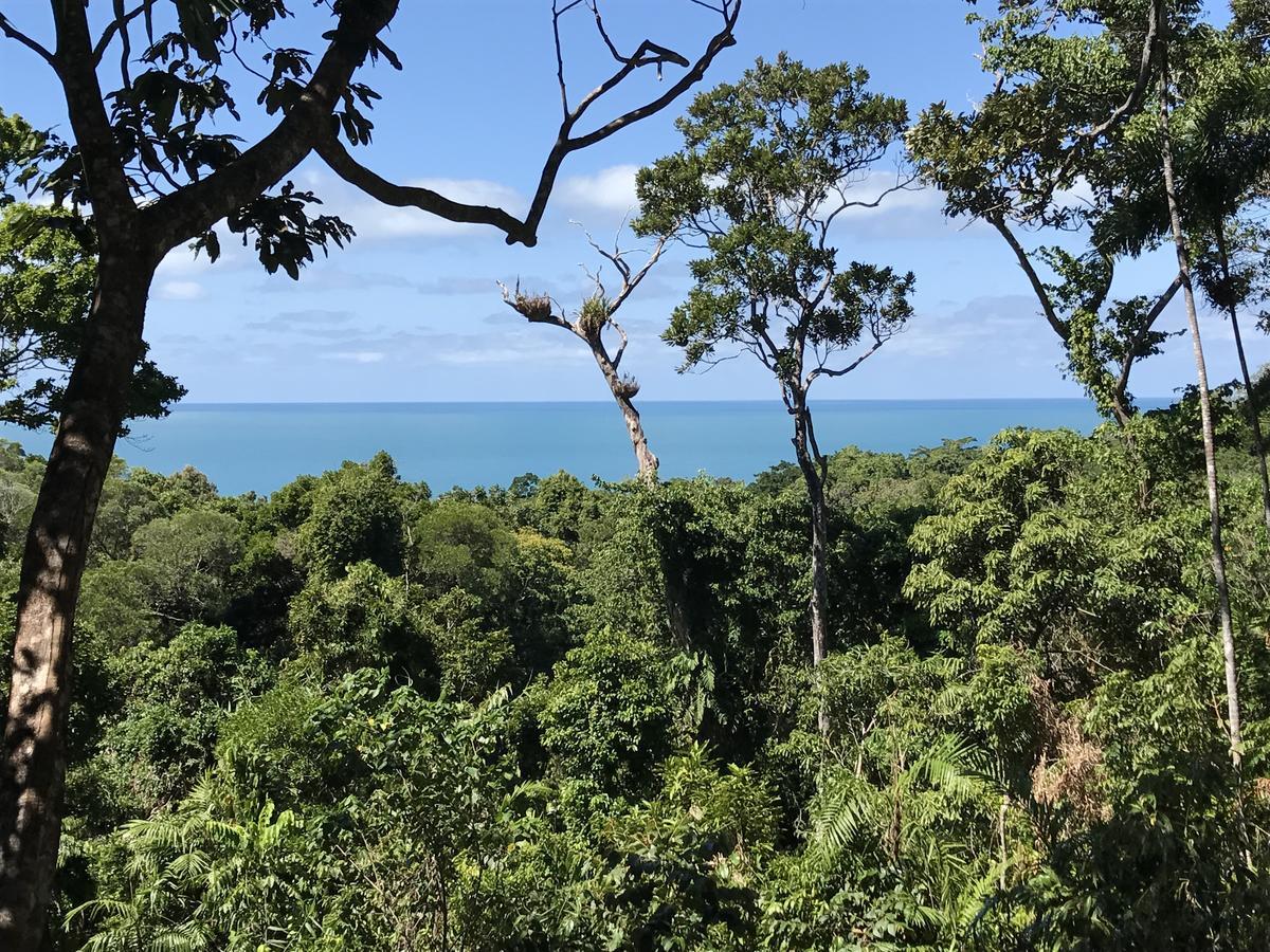 Daintree Magic Holiday House Cow Bay Exterior foto